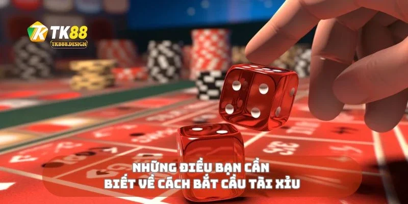 Những điều bạn cần biết về cách bắt cầu tài xỉu