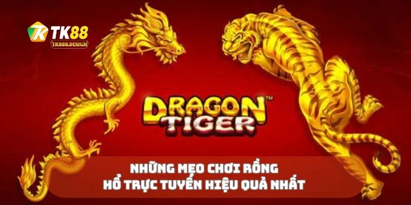 Rồng Hổ Trực Tuyến Cược Nhanh Tay, Thắng Ngay Liền Tay 3 Những mẹo chơi rồng hổ trực tuyến hiệu quả nhất