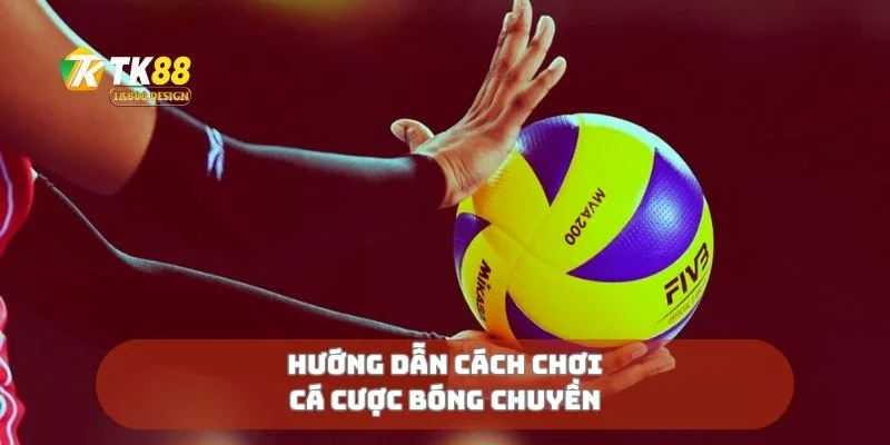 Hướng dẫn cách chơi cá cược bóng chuyền 