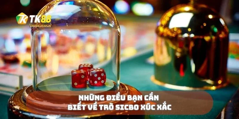 Những điều bạn cần biết về trò sicbo xúc xắc
