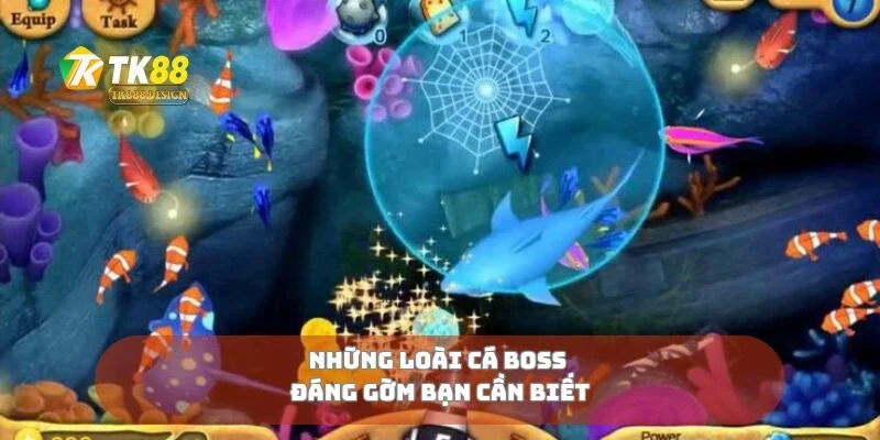 Đại Chiến Cá Boss Chạm Trán Cá Khủng, Nhận Thưởng Cực To 1 Những loài cá boss đáng gờm bạn cần biết